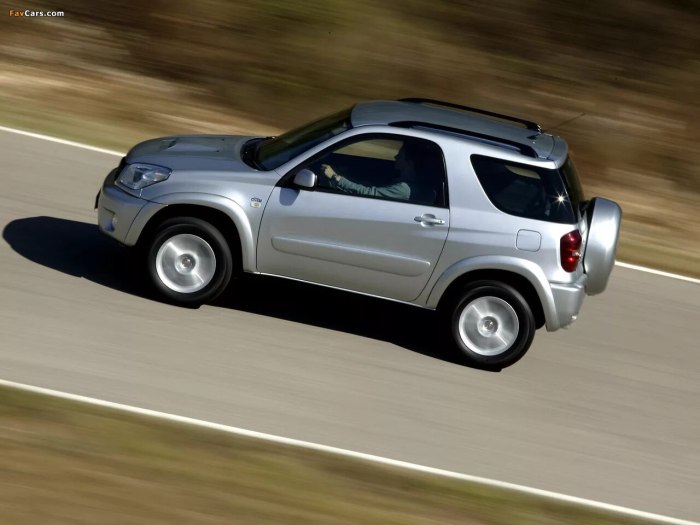 Toyota rav4 3 Doors 2000