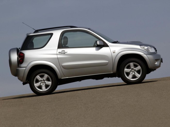 Toyota RAV 3 дверный