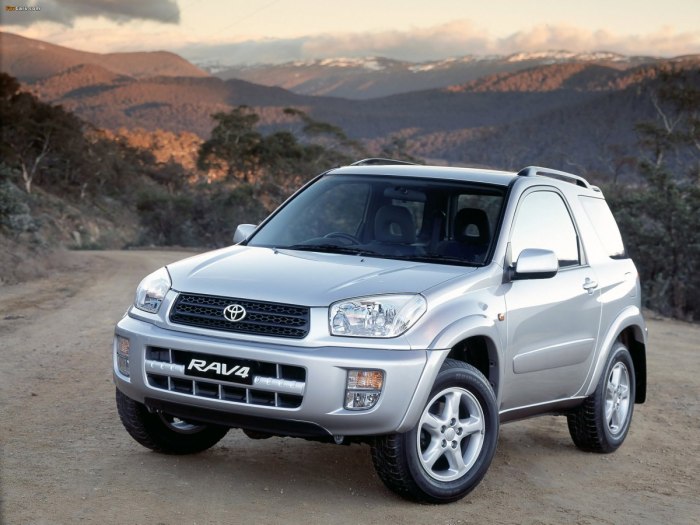 Toyota rav4 3 Doors 2000