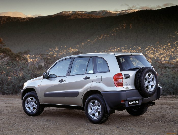 Toyota rav4 2000