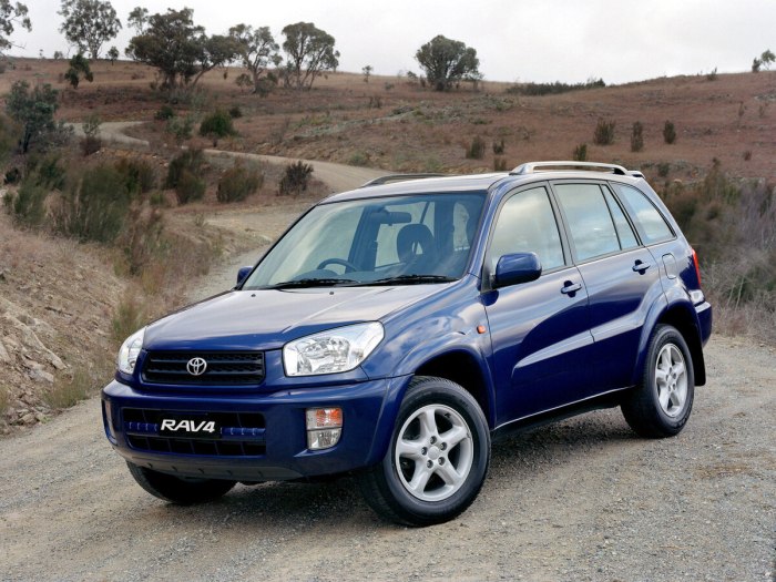 Toyota rav4 2000