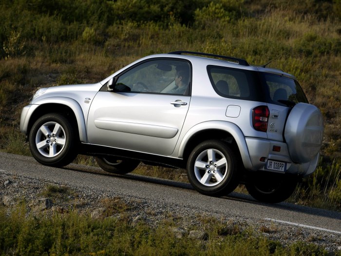 Toyota rav4 2003 3 Doors