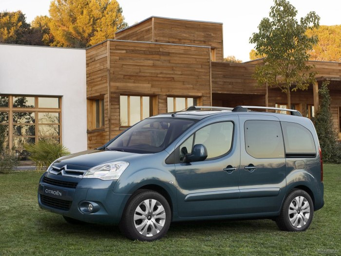 Citroen Berlingo Multispace 2008