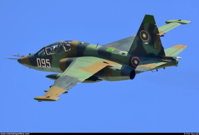 Су-29 штурмовик