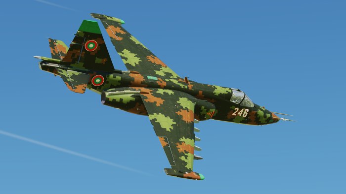 Су-25 Грач