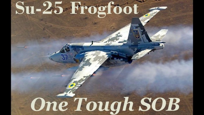 Су-25 Штурмовик