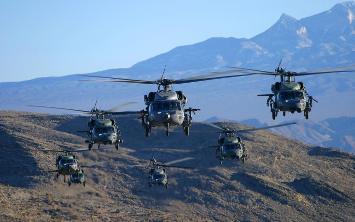 Uh-60 Black Hawk