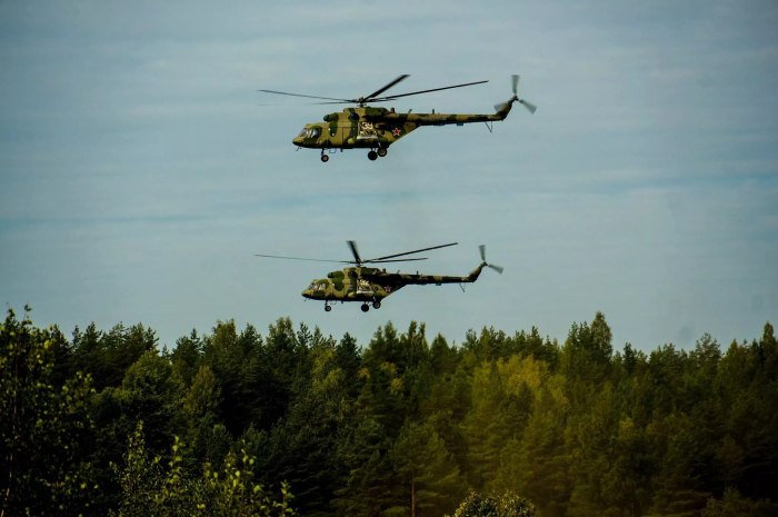 Рыси армейской авиации