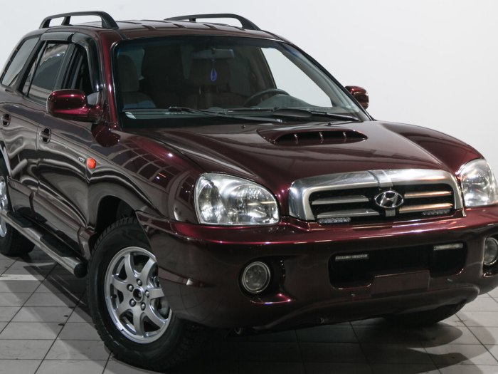 Hyundai Santa Fe Classic 2008