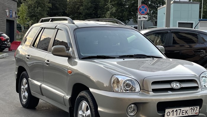 ТАГАЗ 2008 года фото