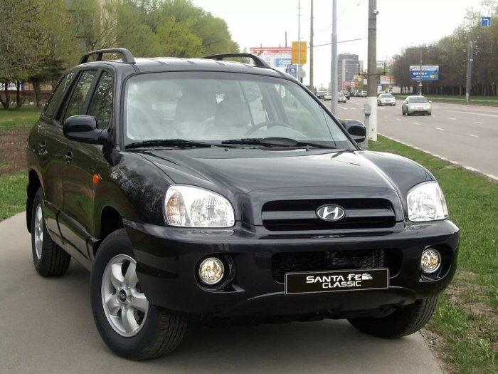 Хендай Санта Фе 2004