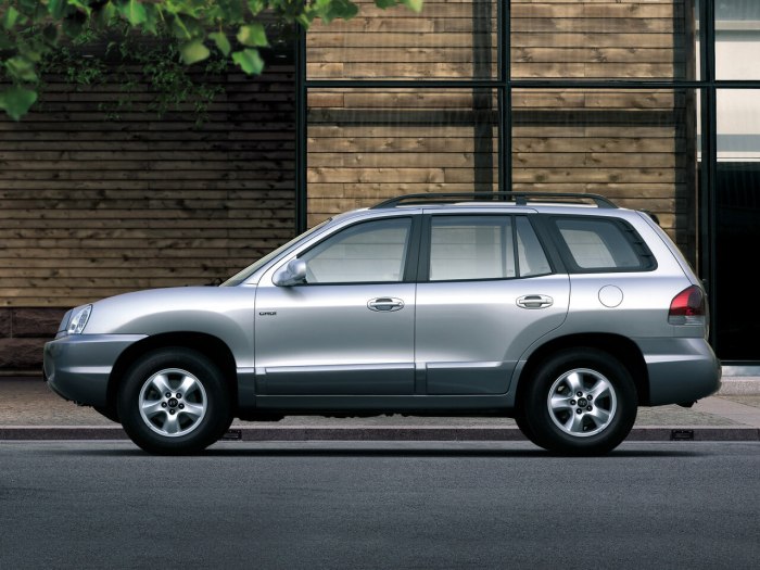 Для Hyundai Santa Fe Classic 1