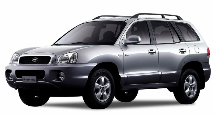 Для Hyundai Santa Fe Classic 1