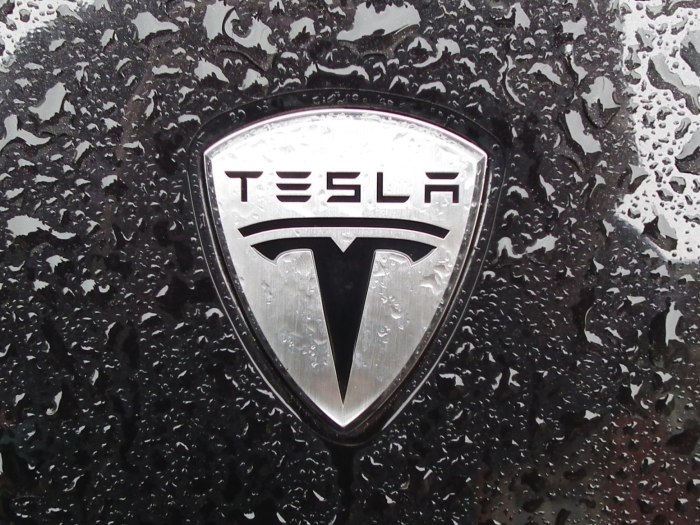Tesla лого авто