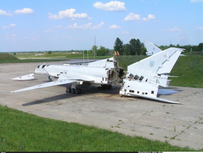 Ту 160 Украина