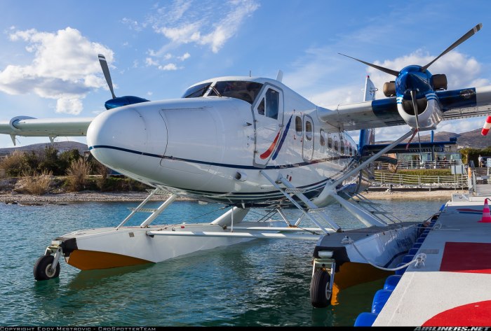 DHC 6 300 гидросамолет
