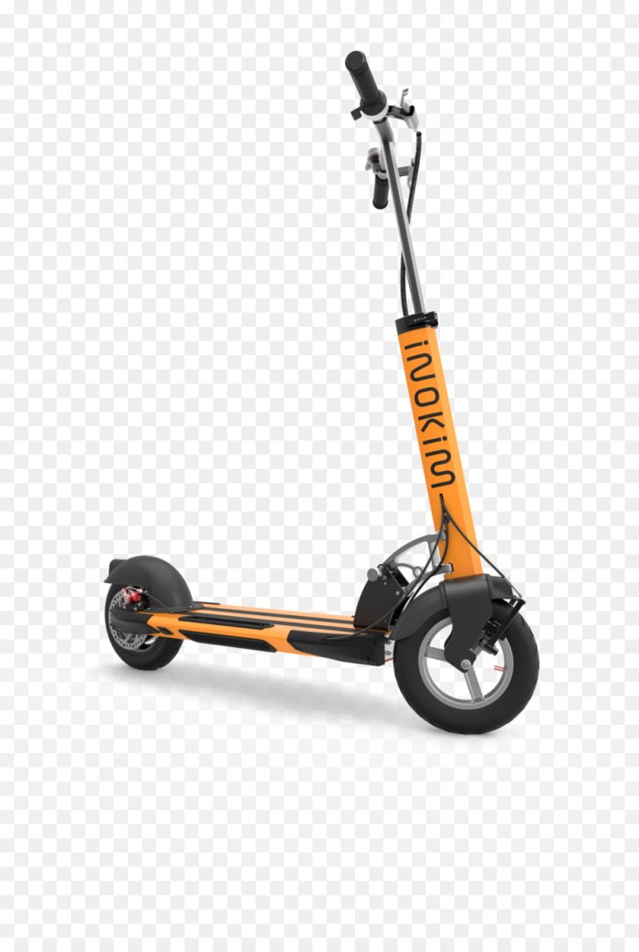 Electric Kick Scooter