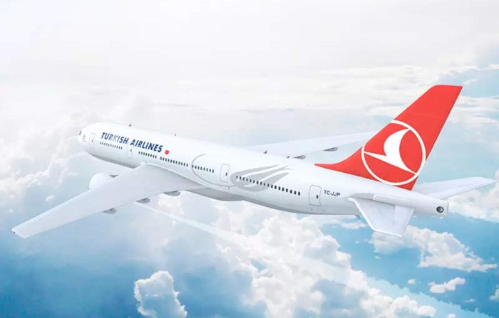 В Турцию на Turkish Airlines