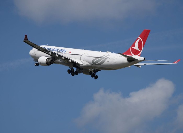 Turkish Airlines tk 3967