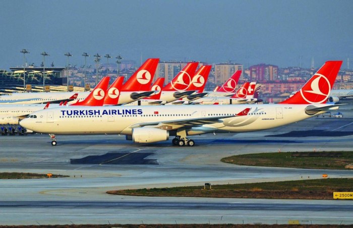 Turkish Airlines авиакомпании Турции