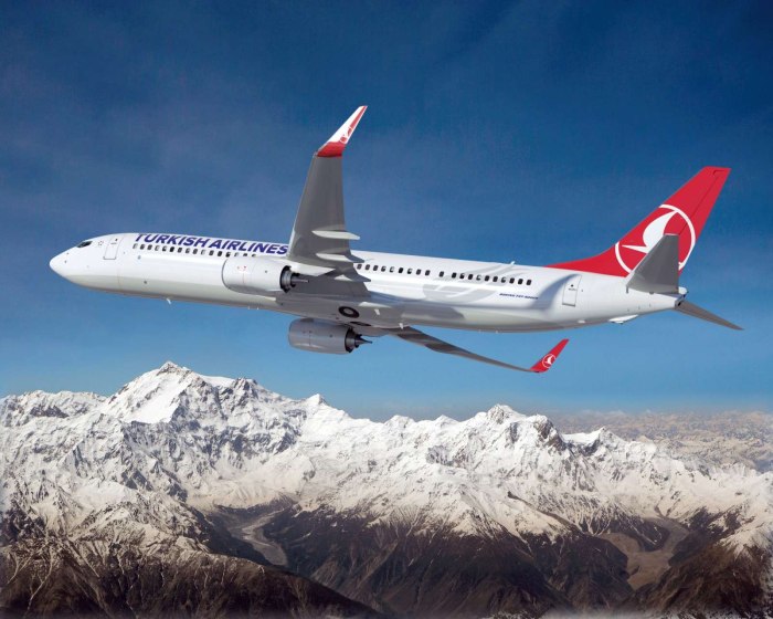 Turkish Airlines авиакомпании Турции