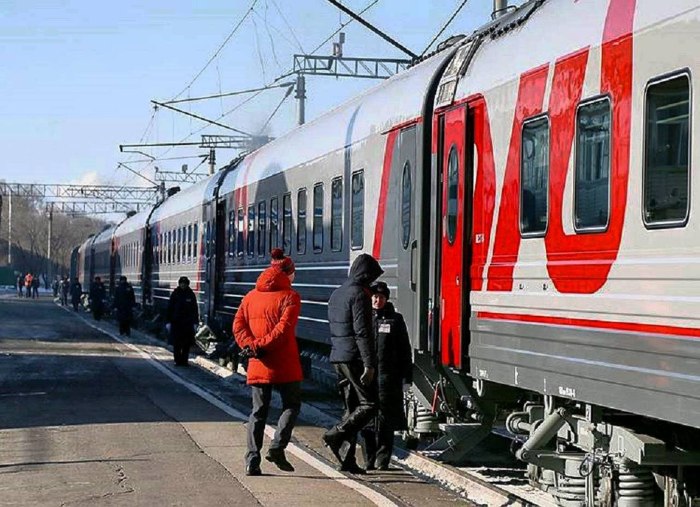 Поезд дальнего следования РЖД