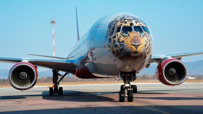 Самолёт Boeing 747 тигр