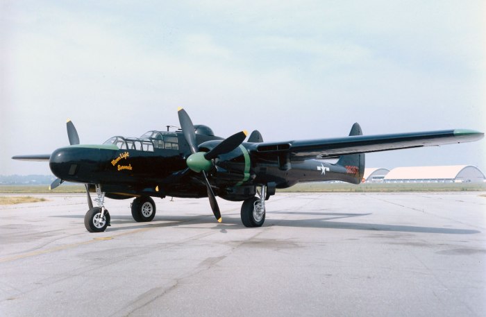 P61 самолет