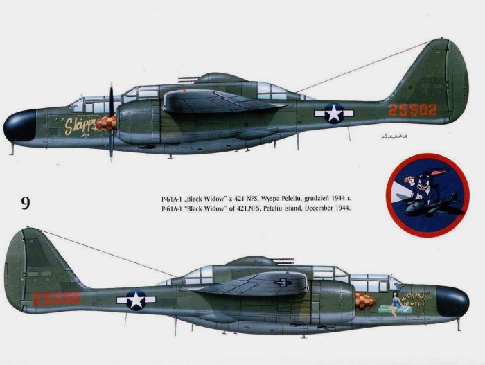 Самолёт p-61 Black Widow