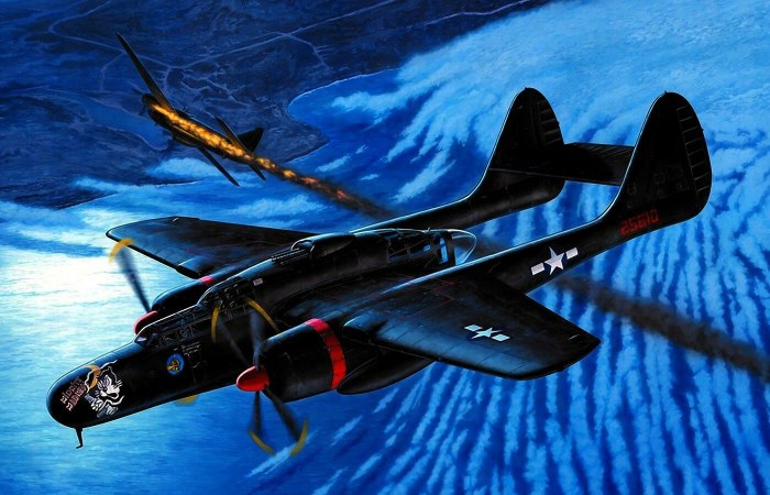 P61 самолет