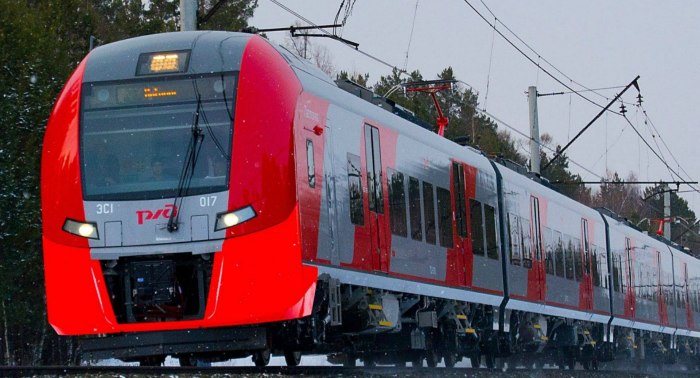 Электропоезд Ласточка Москва
