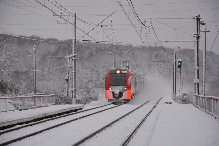 Ласточка Курск