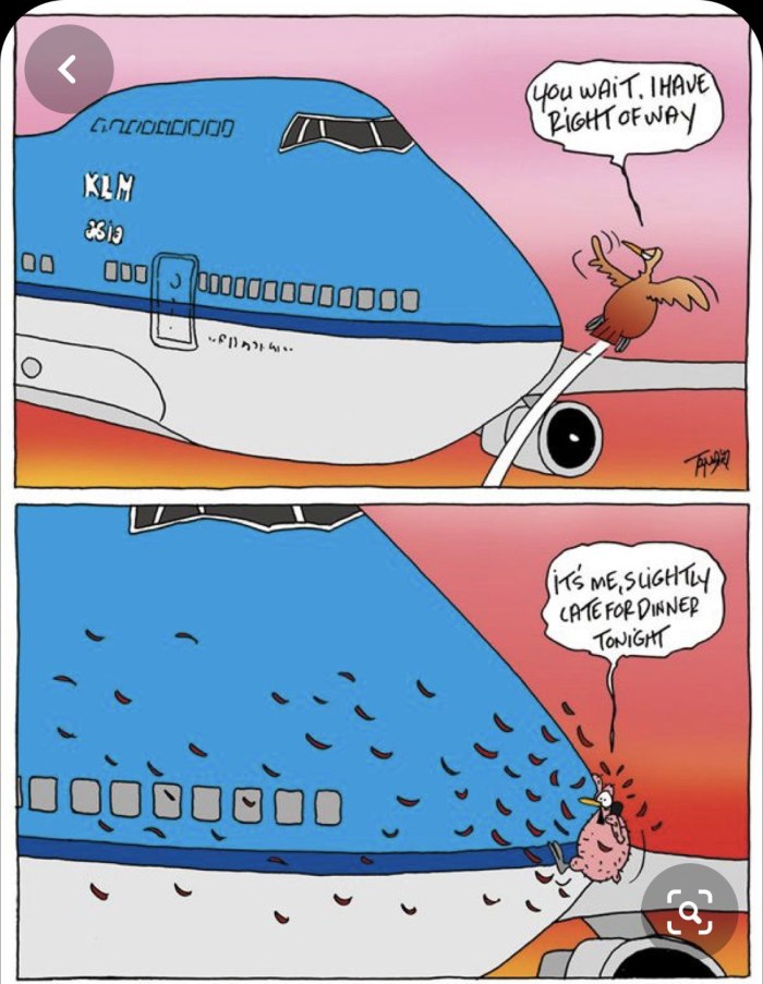Приколы про самолеты