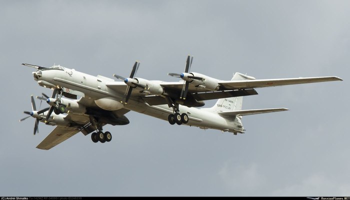 Ту-142 бомбардировщик