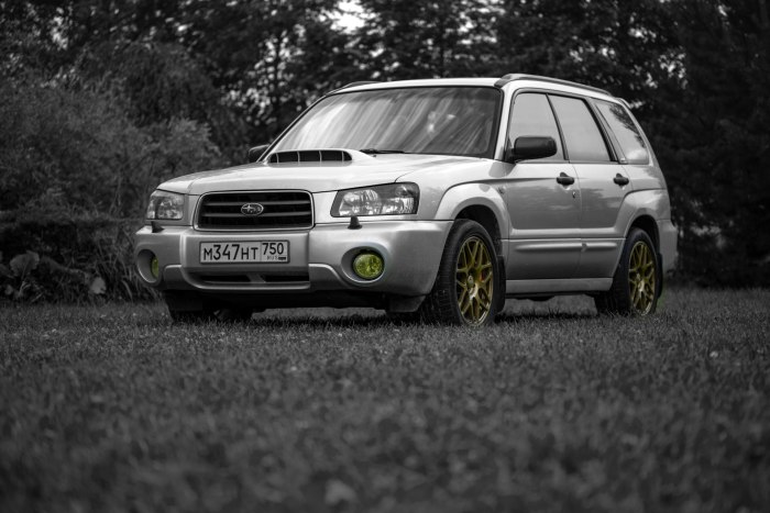 Форестер sg5