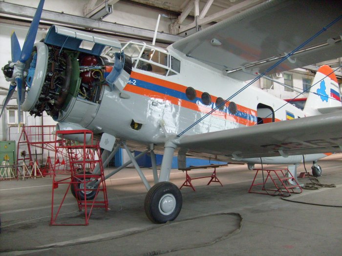 Мотор ан2