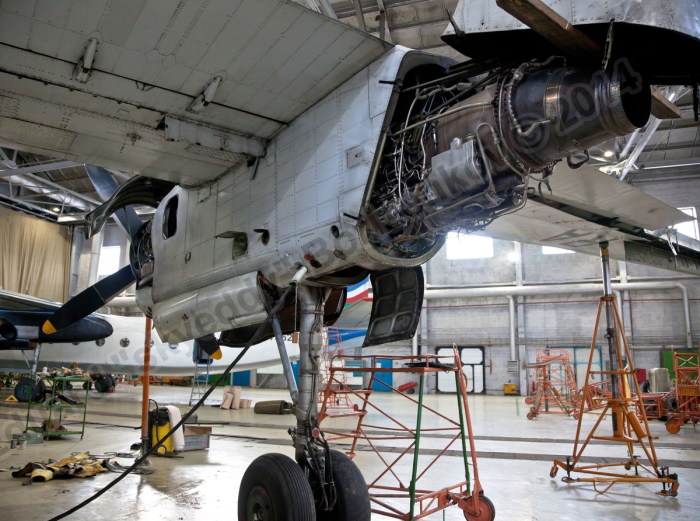 АН-24 шасси