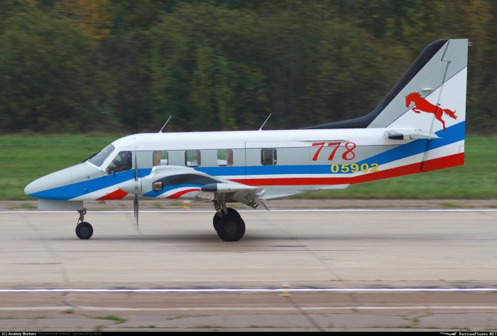 Техноавиа рысачок