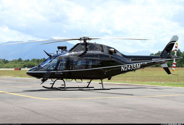 Вертолет Agusta 119