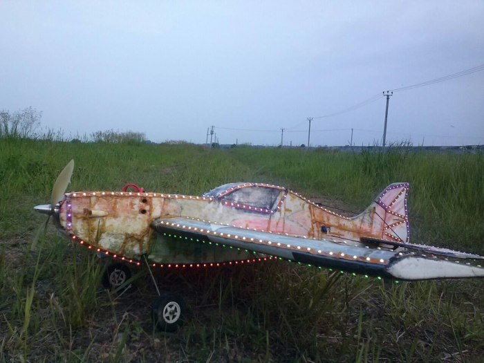 Самодельный самолет