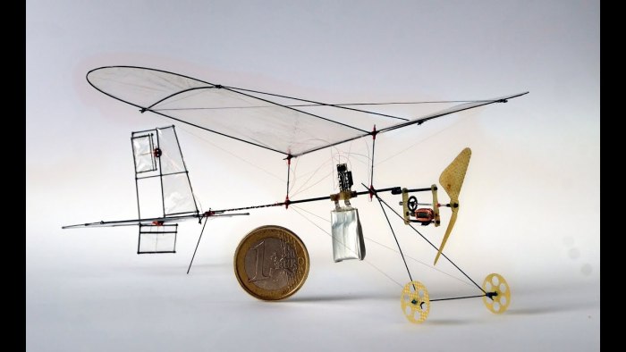 Micro RC plane