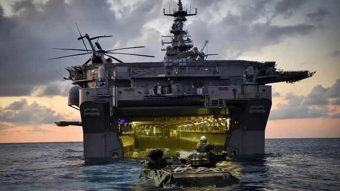 Wasp-class Amphibious Assault ship