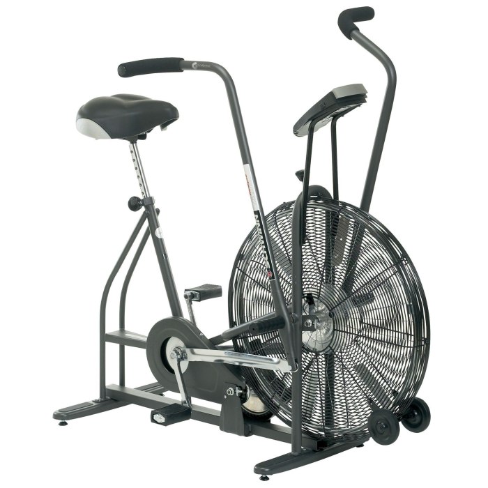 Schwinn Airdyne Аэро велосипед