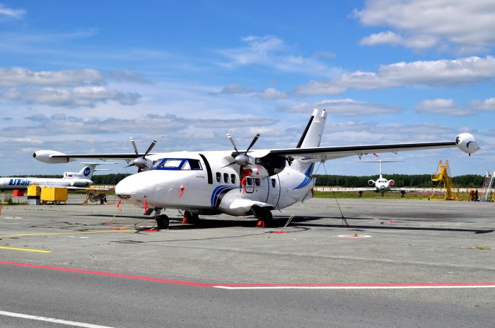 L410 самолет