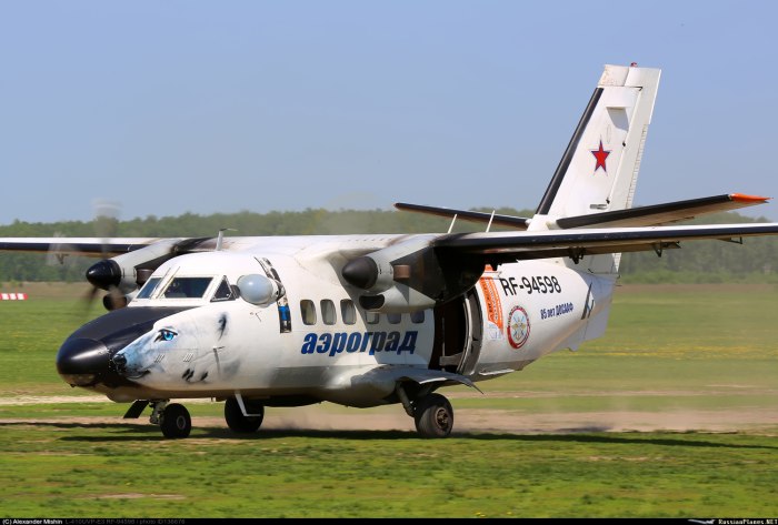 Л-410 Аэроград Коломна