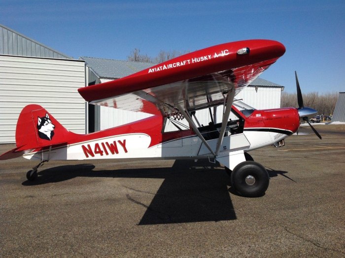 Aviat a-1c-200 Husky