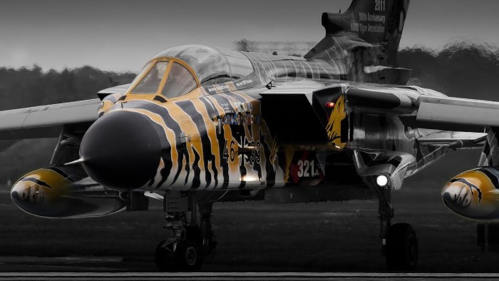 Panavia Tornado самолет