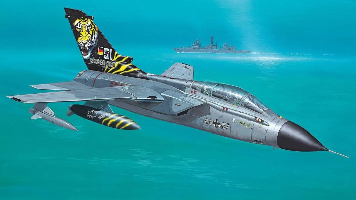 Panavia Tornado IDS Art