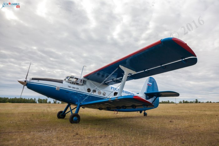 ТВС-2дтс самолет