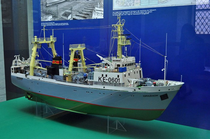 Траулер сейнер морозильного типа Орленок проект Атлантик 333